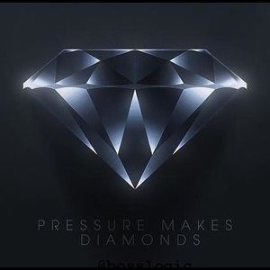 Meet your Posher, Shelby